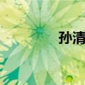 孙清彦（关于孙清彦简介）