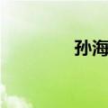 孙海洋（关于孙海洋简介）