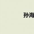孙海林（关于孙海林简介）