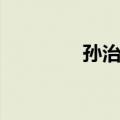 孙治国（关于孙治国简介）
