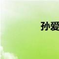 孙爱宁（关于孙爱宁简介）
