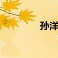 孙洋洋（关于孙洋洋简介）