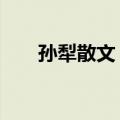孙犁散文 上（关于孙犁散文 上简介）