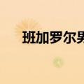  班加罗尔男孩在谷歌工作收入60万卢比