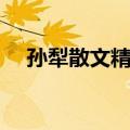 孙犁散文精选（关于孙犁散文精选简介）