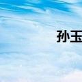 孙玉麟（关于孙玉麟简介）