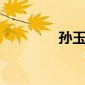 孙玉琪（关于孙玉琪简介）