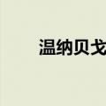 温纳贝戈县（关于温纳贝戈县介绍）