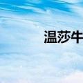 温莎牛顿（关于温莎牛顿介绍）