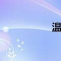 温良（关于温良介绍）