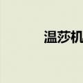 温莎机场（关于温莎机场介绍）