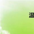 温笛（关于温笛介绍）