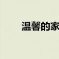 温馨的家庭（关于温馨的家庭介绍）