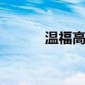 温福高铁（关于温福高铁介绍）