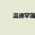 温迪罕蒲睹（关于温迪罕蒲睹介绍）