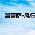 温蕾萨·风行者（关于温蕾萨·风行者介绍）