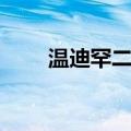 温迪罕二十（关于温迪罕二十介绍）