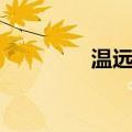 温远光（关于温远光介绍）
