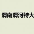 渭南渭河特大桥（关于渭南渭河特大桥介绍）