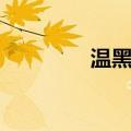 温黑牛（关于温黑牛介绍）
