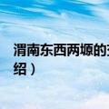 渭南东西两塬的交农斗争（关于渭南东西两塬的交农斗争介绍）
