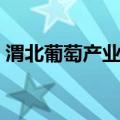 渭北葡萄产业园（关于渭北葡萄产业园介绍）