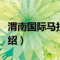 渭南国际马拉松赛（关于渭南国际马拉松赛介绍）