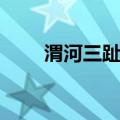 渭河三趾马（关于渭河三趾马介绍）