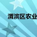 渭滨区农业局（关于渭滨区农业局介绍）