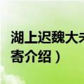湖上迟魏大未至见寄（关于湖上迟魏大未至见寄介绍）