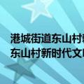 港城街道东山村新时代文明实践志愿服务队（关于港城街道东山村新时代文明实践志愿服务队介绍）