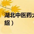 湖北中医药大学吧（关于湖北中医药大学吧介绍）