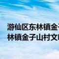 游仙区东林镇金子山村文明实践志愿服务队（关于游仙区东林镇金子山村文明实践志愿服务队介绍）