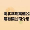 湖北武荆高速公路发展有限公司（关于湖北武荆高速公路发展有限公司介绍）