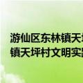 游仙区东林镇天坪村文明实践志愿服务队（关于游仙区东林镇天坪村文明实践志愿服务队介绍）