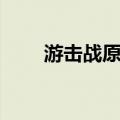 游击战原则（关于游击战原则介绍）