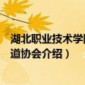 湖北职业技术学院跆拳道协会（关于湖北职业技术学院跆拳道协会介绍）