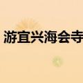 游宜兴海会寺作（关于游宜兴海会寺作介绍）