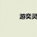 游奕灵官（关于游奕灵官介绍）
