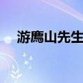 游廌山先生集（关于游廌山先生集介绍）