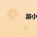 游小琴（关于游小琴介绍）