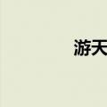 游天洋（关于游天洋介绍）