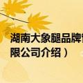 湖南大象腿品牌管理有限公司（关于湖南大象腿品牌管理有限公司介绍）