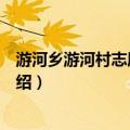 游河乡游河村志愿服务站（关于游河乡游河村志愿服务站介绍）