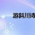 游斜川诗序（关于游斜川诗序介绍）
