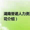 湖南誉诺人力资源有限公司（关于湖南誉诺人力资源有限公司介绍）