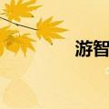 游智开（关于游智开介绍）