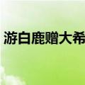 游白鹿赠大希先（关于游白鹿赠大希先介绍）