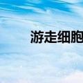 游走细胞型（关于游走细胞型介绍）