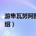 游隼瓦努阿图亚种（关于游隼瓦努阿图亚种介绍）
